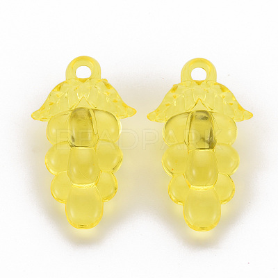 Autumn Theme Transparent Acrylic Beads TACR-S154-60B-916-1