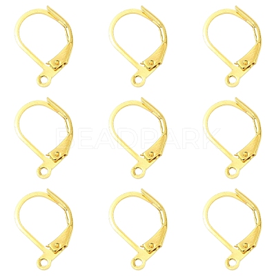 100Pcs Brass Leverback Earring Findings KK-YW0003-37G-1