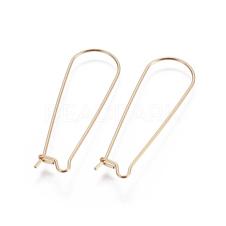 304 Stainless Steel Hoop Earring Finding LS-X-STAS-E464-05G-1