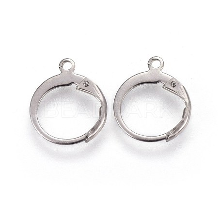 Tarnish Resistant 304 Stainless Steel Leverback Earring Findings X-STAS-I100-19P-1