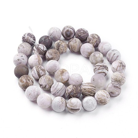 Natural America Petrified Wood Beads Strands G-P430-03-D-1