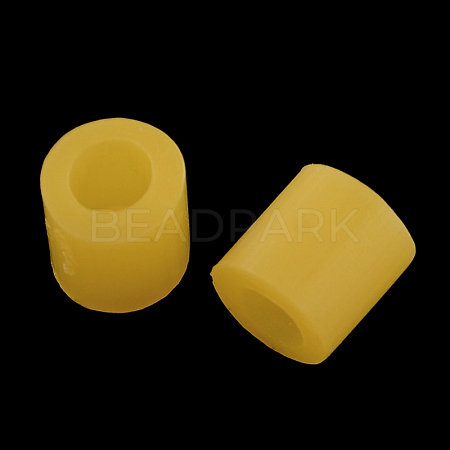 Maxi Fuse Beads DIY-R013-10mm-A08-1