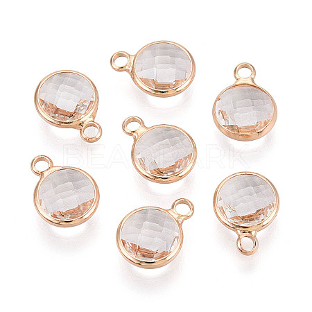 Golden Tone Brass Glass Charms GLAA-ZX008-24E-G-1