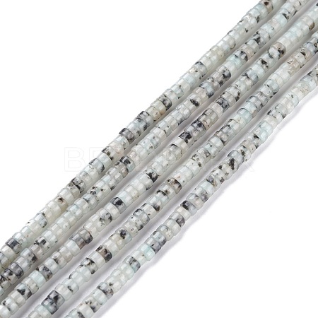 Natural Sesame Jasper/Kiwi Jasper Beads Strands G-F631-A48-1