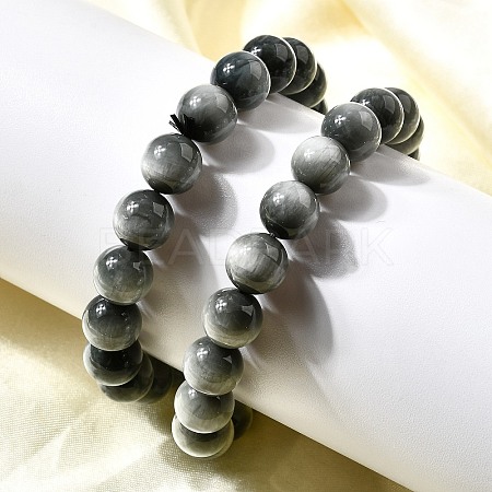 Grade AA Natural Eagle Eye Stone Round Beads Stretch Bracelets for Women BJEW-L712-B05-10mm-1