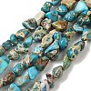 Dyed Natural Imperial Jasper Beads Strands G-A283-A01-01-2
