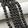 Natural Ice Obsidian Beads Strands G-P590-A03-10mm-03-1