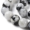 Natural Rainbow Moonstone Beads Strands G-Q1001-A05-04-4