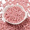 Baking Paint Glass Seed Beads SEED-K009-01A-17-2