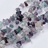 Natural Fluorite Stone Bead Strands G-R192-05-1