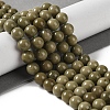 Natural Alashan Agate Beads Strands G-P530-B05-03-2