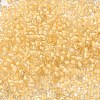 8/0 Transparent Glass Seed Beads SEED-F003-03B-14-3