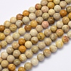 Natural Fossil Coral Beads Strands G-G697-F01-4mm-1