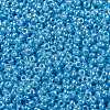 MIYUKI Round Rocailles Beads SEED-X0056-RR0433-3