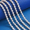 Natural Cultured Freshwater Pearl Beads Strands X-PEAR-Q006-02-6