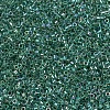 MIYUKI Delica Beads SEED-J020-DB0060-2