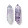 Natural Fluorite Double Terminal Pointed Pendants G-C007-02B-06-3
