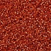 MIYUKI Delica Beads SEED-J020-DB2158-3