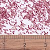 MIYUKI Delica Beads X-SEED-J020-DB0282-4
