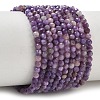 Natural Charoite Beads Strands GG-CBA5A1A-A03-03-2