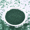 MIYUKI Round Rocailles Beads SEED-G007-RR0147F-2