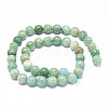 Natural Amazonite Beads Strands G-F632-25-02-1