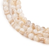 Natural Freshwater Shell Beads Strands X-SHEL-T011-02-3mm-3