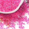 Glass Seed Beads SEED-S042-13A-09-1