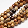 Natural Petrified Wood Round Bead Strands G-F266-08-10mm-1
