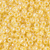 8/0 Ceylon Round Glass Seed Beads X-SEED-A011-3mm-142-2