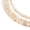 Natural Freshwater Shell Beads Strands X-SHEL-T011-02-4mm-3