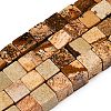 Natural Picture Jasper Beads Strands G-T139-8x8-27A-4