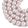 Electroplated Shell Pearl Beads Strands BSHE-G041-6mm-06-3