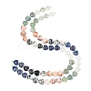 Gradient Color Natural Quartz & Fluorite & Tree Agate & Blue Aventurine & Red Netstone Beads Strands G-B185-A04-1