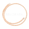 Natural Freshwater Shell Beads Strands SHEL-P017-01A-12-2