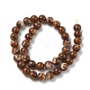 Natural Trochus Shell Beads Strands SH-CBAFEDD-02C-4