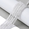 Natural Malaysia Jade Rondelle Beads Strands X-G-E316-2x4mm-63-2