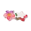 Transparent Resin Pendants RESI-A046-05F-3