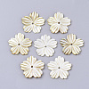 Yellow Shell Beads SSHEL-S251-37-1