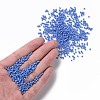 Glass Seed Beads SEED-A010-2mm-43B-4