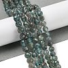 Natural Apatite Beads Strands G-G189-D02-07-2