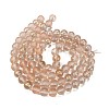 Frosted Transparent Glass Bead Strands GLAA-P065-10mm-05-5