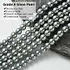 Eco-Friendly Dyed Glass Pearl Beads Strands HY-A008-6mm-RB076-3