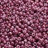 TOHO 6/0 Round Beads SEED-XTR06-1202-4