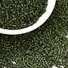 Cylinder Seed Beads SEED-H001-C06-1