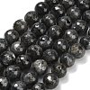 Natural Larvikite Beads Strands G-C280-B06-12mm-2