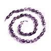 Natural Amethyst Beads Strands G-D0002-B33-2