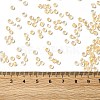 6/0 Transparent Glass Seed Beads SEED-F003-03A-14-4