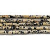Natural Dalmatian Jasper Beads Strands G-E612-B01-1
