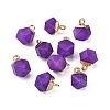 Natural White Jade Charms G-S359-015H-2